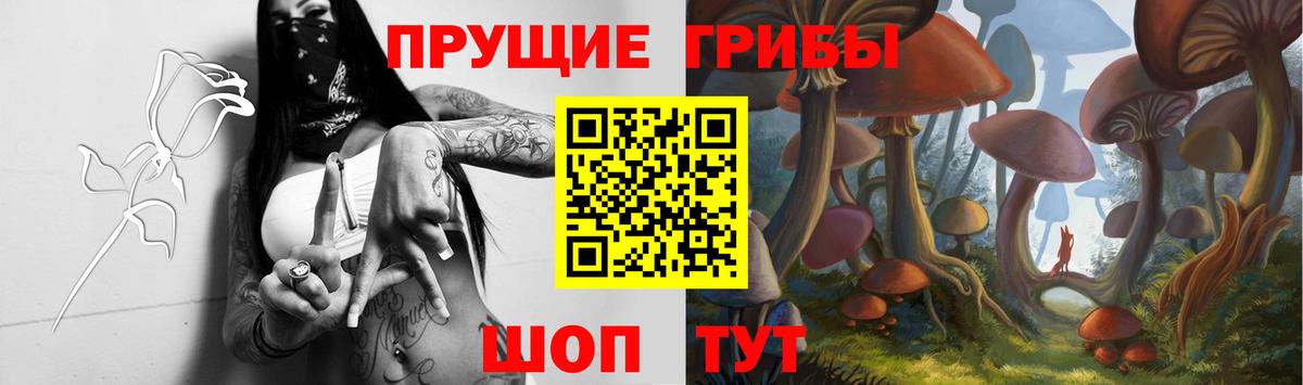 Галлюциногенные грибы мицелий Тольятти